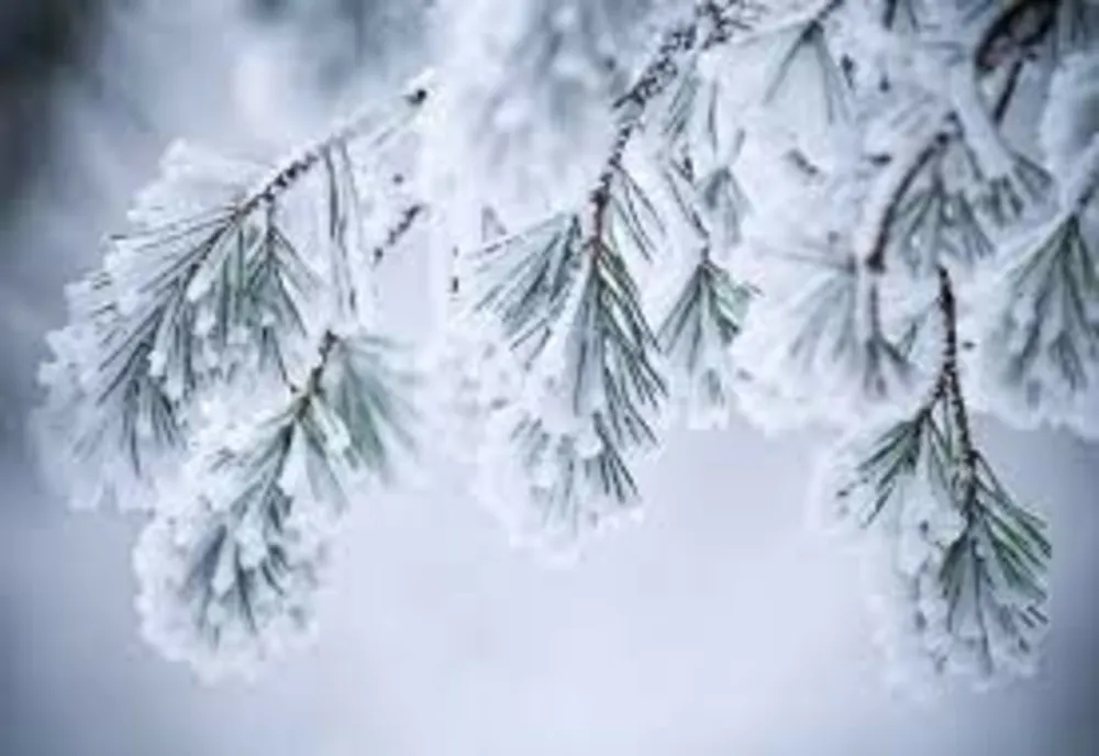 Prognoza meteo - Cum va fi vremea in ianuarie