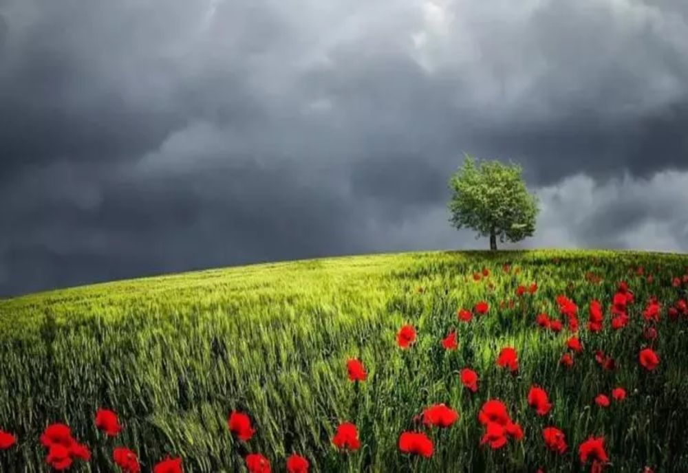 Vești proaste de la ANM. O nouă alertă meteo anunță risc de inundații și cod portocaliu de viituri. Care sunt zonele afectate de ploi torențiale în România