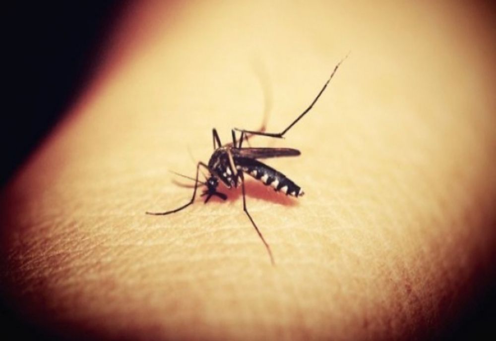 Alertă sanitară majoră! 4 cazuri de meningită virală, raportate în România - Infecția, cauzată de virusul West Nile