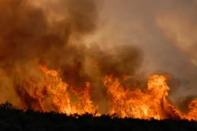 Sicilia se confruntă cu o serie de incendii de vegetaţie; o clinică a fost evacuată