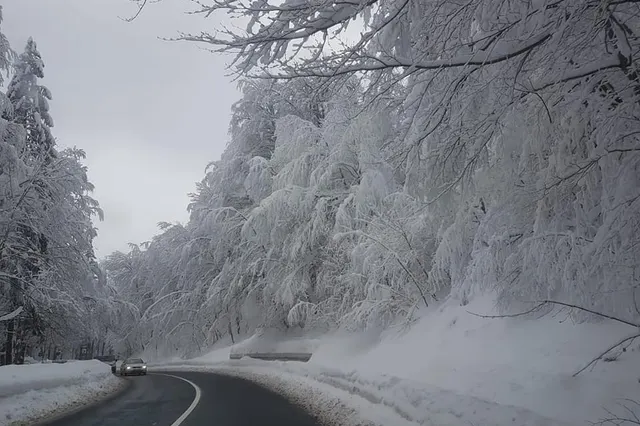 El Niño și vortexul polar ar putea aduce o iarnă extremă. Europa, amenințată de valuri severe de frig