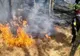 MAI MULTE STATE DIN VESTUL SUA, AFECTATE DE INCENDII PUTERNICE